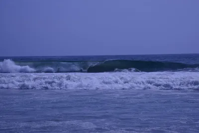 DSC_2174 (Large).JPG